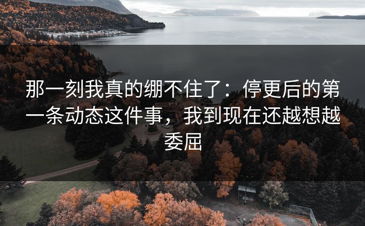 那一刻我真的绷不住了：停更后的第一条动态这件事，我到现在还越想越委屈
