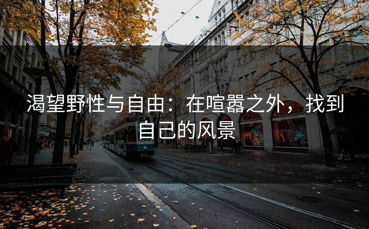 渴望野性与自由：在喧嚣之外，找到自己的风景
