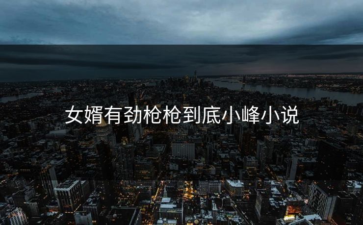女婿有劲枪枪到底小峰小说