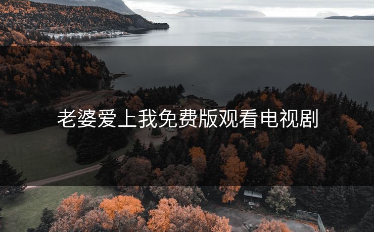 老婆爱上我免费版观看电视剧