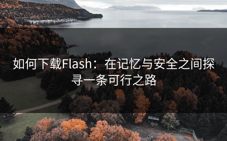 如何下载Flash:在记忆与安全之间探寻一条可行之路 如何下载Flash:在记忆与安全之间探寻一条可行之路