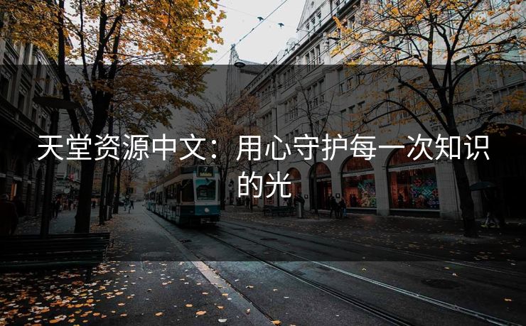 天堂资源中文：用心守护每一次知识的光