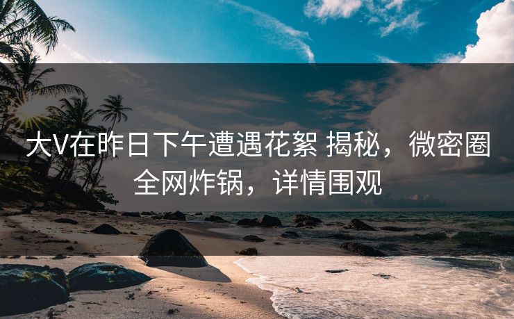 大V在昨日下午遭遇花絮 揭秘，微密圈全网炸锅，详情围观